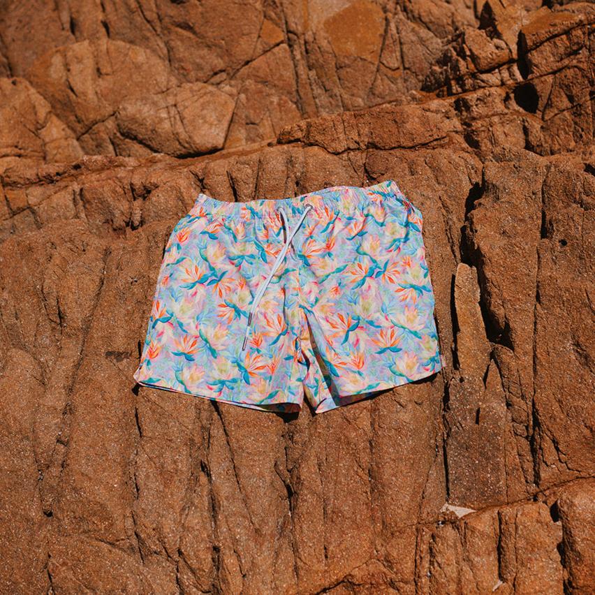 Sanctuary Swim Shorts