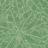 Tranquil Swim Shady design